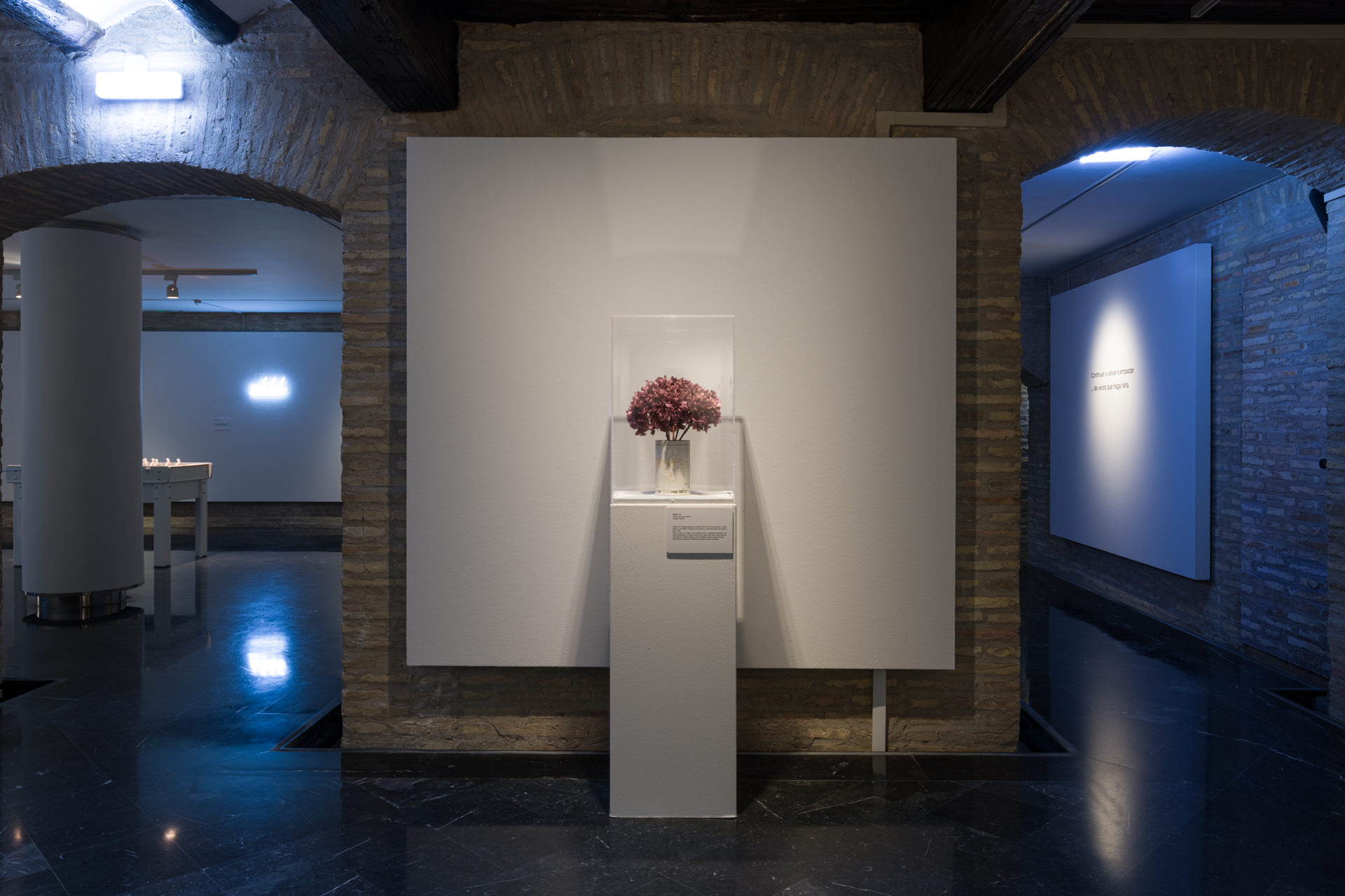 SARA-BIASSU-20240416-3